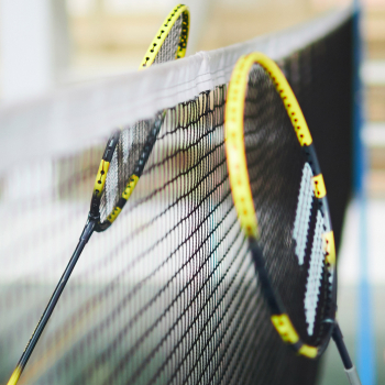Badminton net