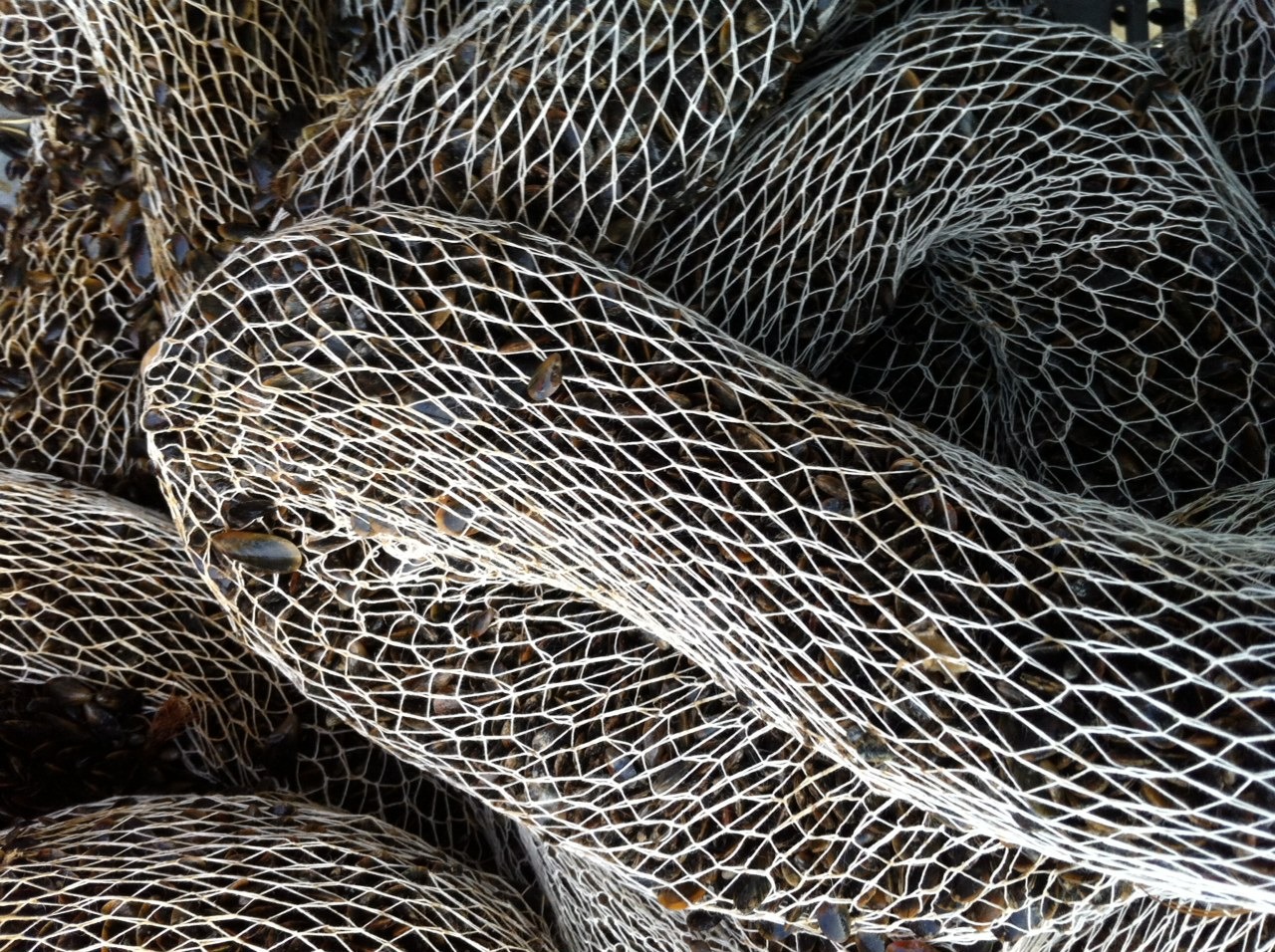 Filet boudinage en coton aquaculture